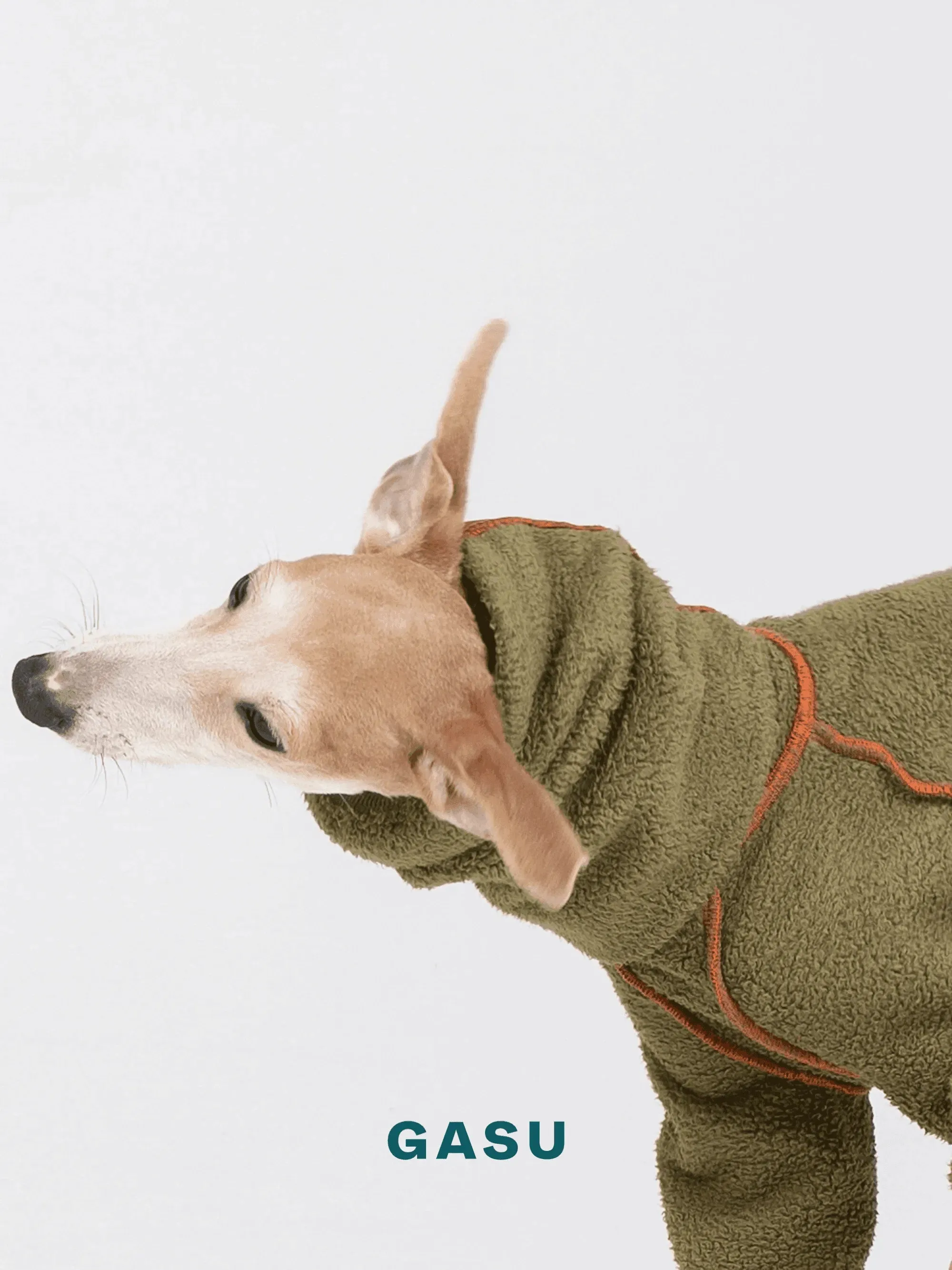 Double-sided 4-Leg Fleece Dog Jumpsuit | Moss Green