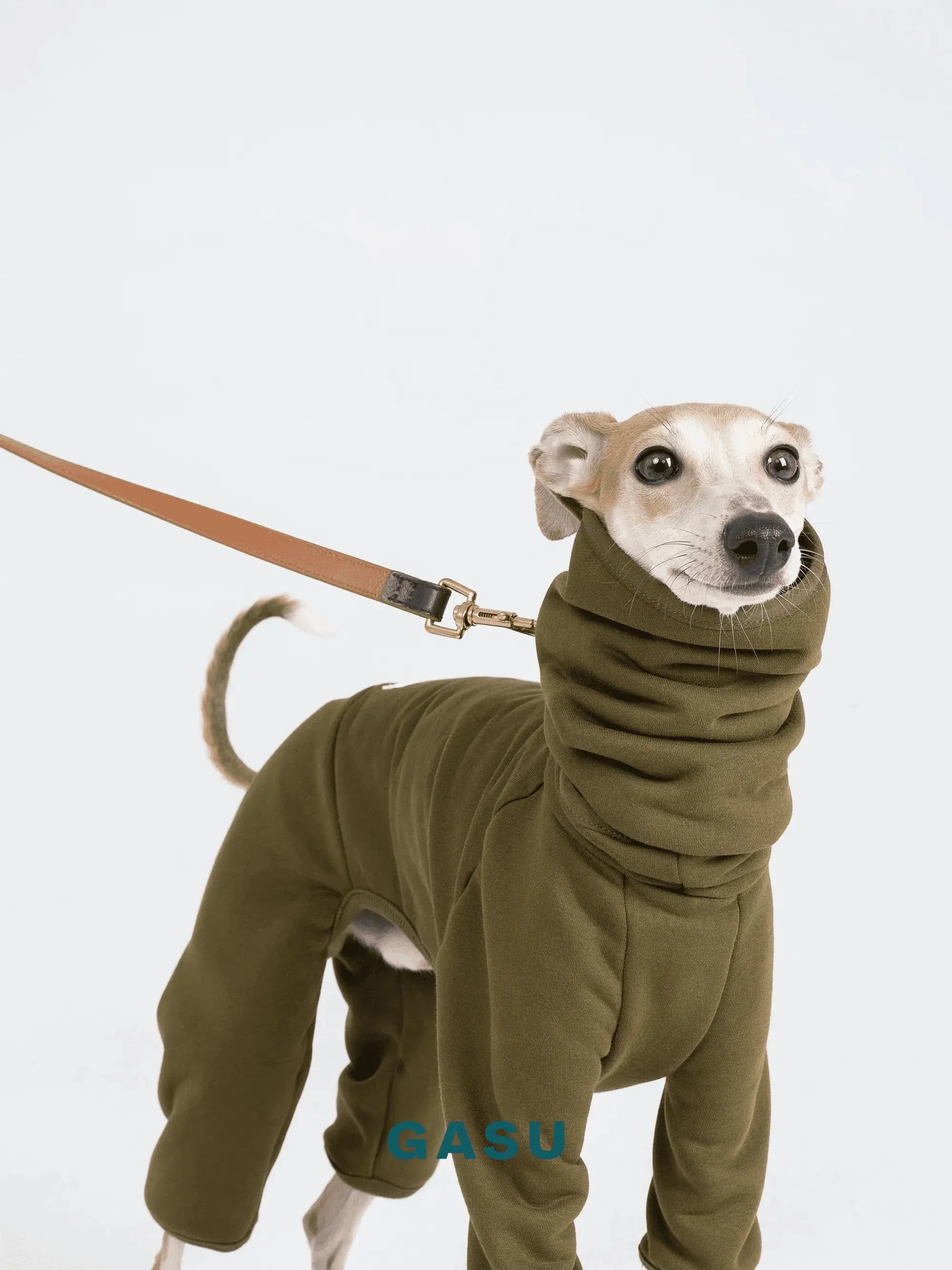 Double-sided 4-Leg Fleece Dog Jumpsuit | Moss Green