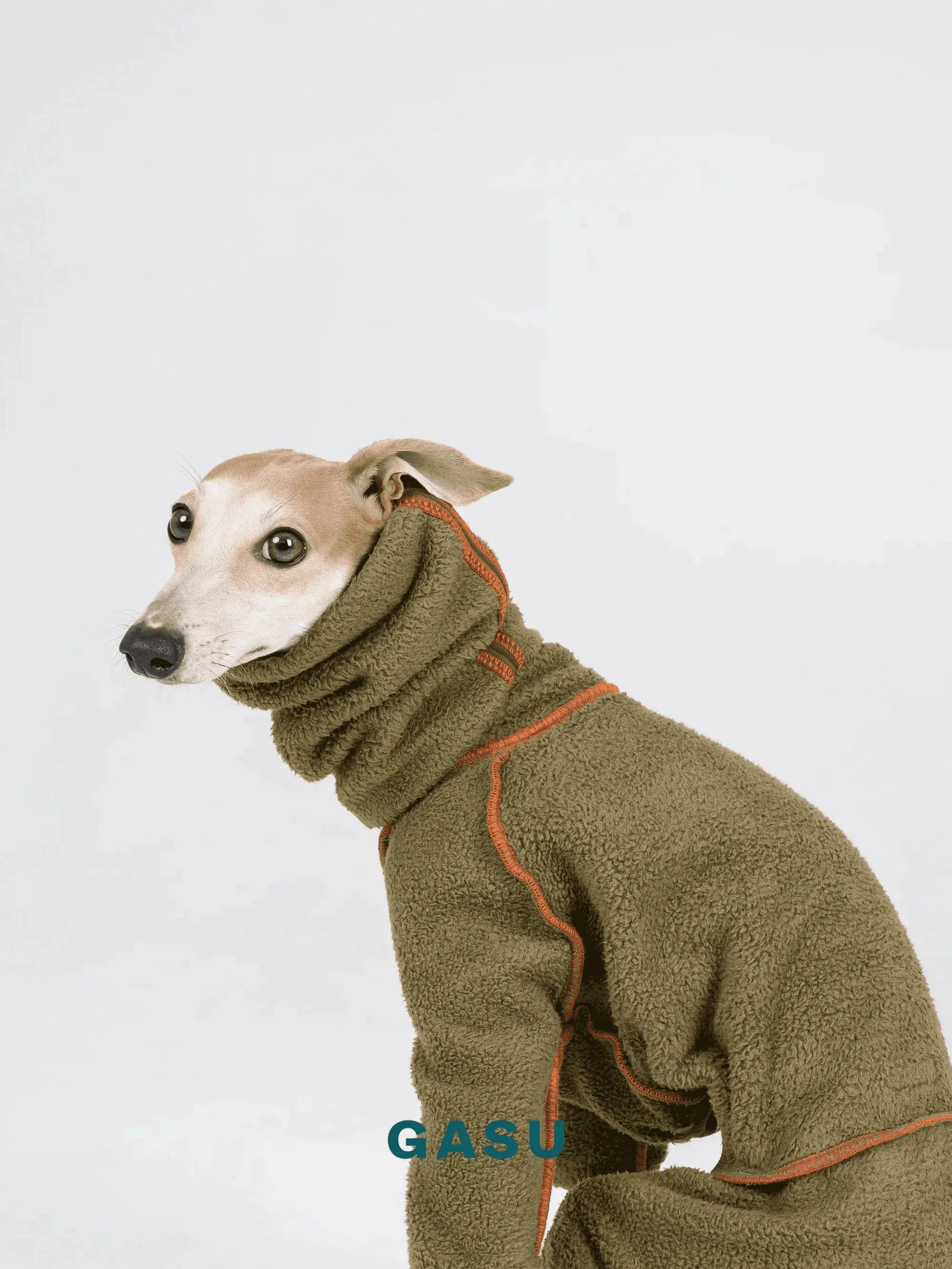 Double-sided 4-Leg Fleece Dog Jumpsuit | Moss Green