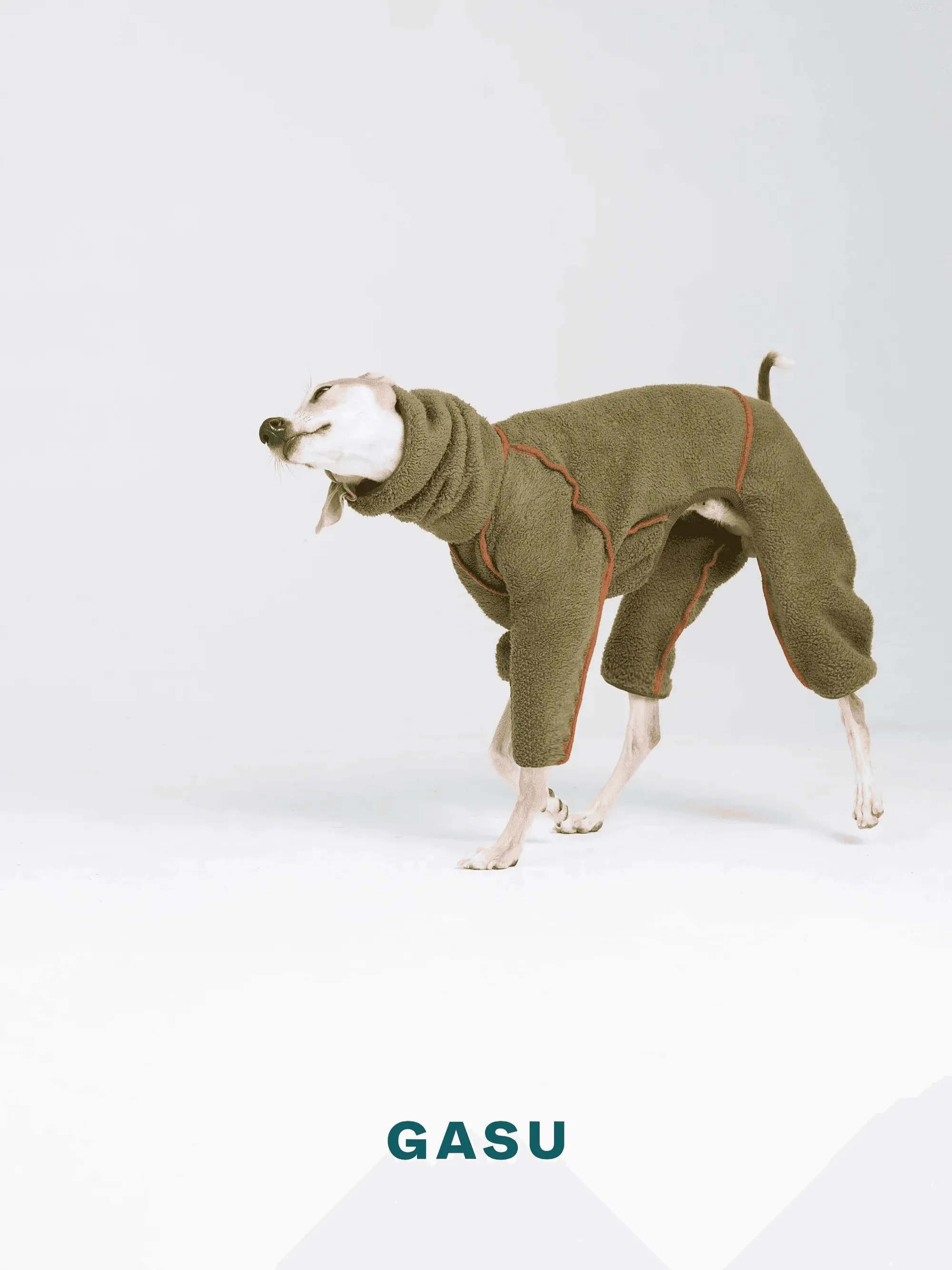Double-sided 4-Leg Fleece Dog Jumpsuit | Moss Green