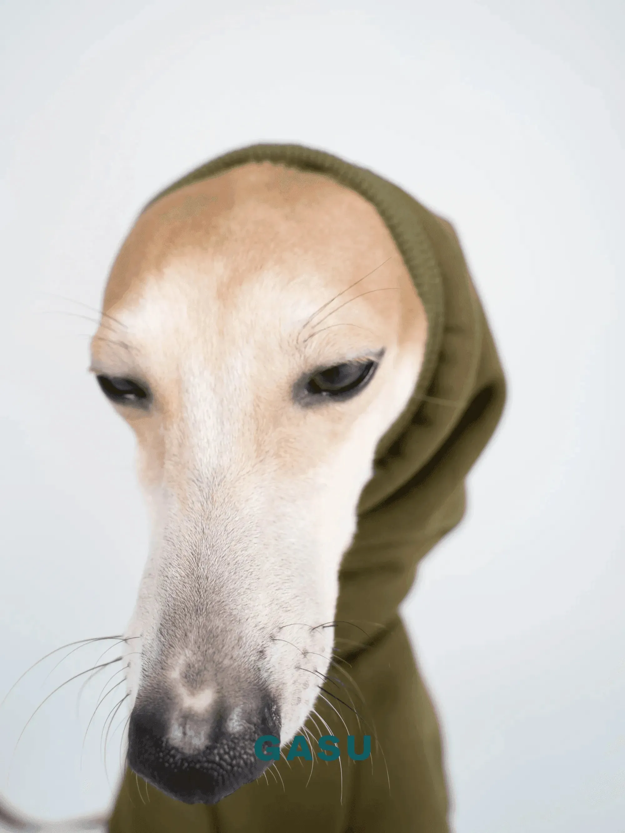 Double-sided 4-Leg Fleece Dog Jumpsuit | Moss Green